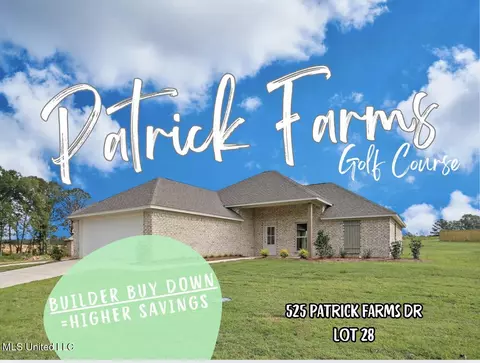 525 Patrick Farms Dr, Pearl, MS 39208
