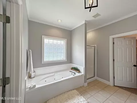 Bath - 106 Pine Ridge Cir, Brandon, MS 39047 photo 3 of 5