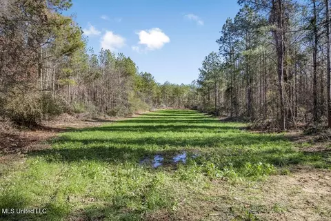 156 A L Williamson Rd, Prentiss, MS 39474