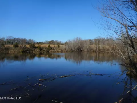 Chichester Road, Edwards, MS 39066 photo 15