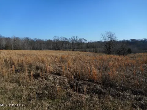 Chichester Road, Edwards, MS 39066 photo 30
