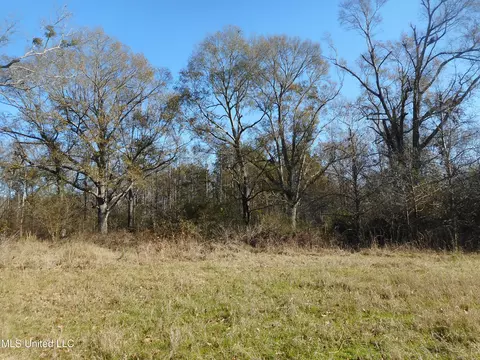 Chichester Road, Edwards, MS 39066 photo 6