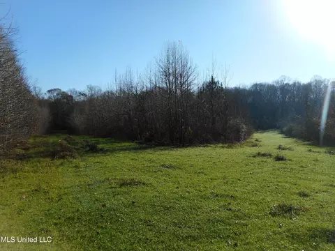 Chichester Road, Edwards, MS 39066 photo 16