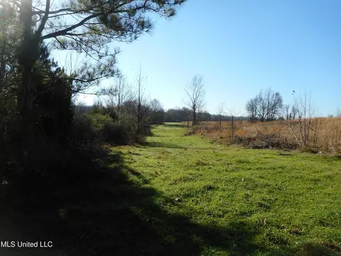 Chichester Road, Edwards, MS 39066 photo 27