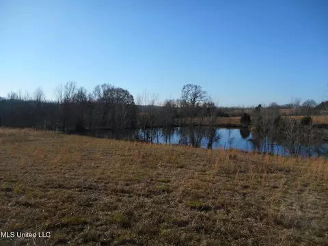 Chichester Road, Edwards, MS 39066 photo 12