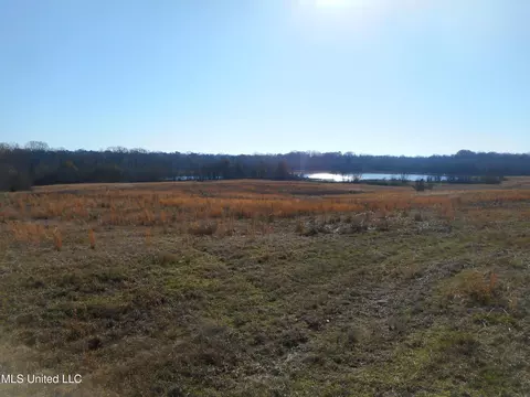 Chichester Road, Edwards, MS 39066 photo 5
