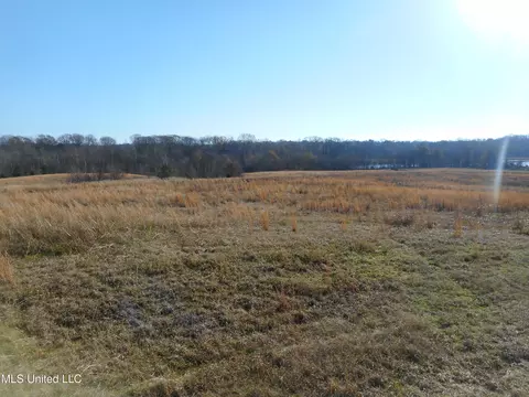 Chichester Road, Edwards, MS 39066 photo 34