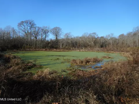 Chichester Road, Edwards, MS 39066 photo 26