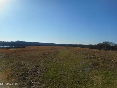 Chichester Road, Edwards, MS 39066 photo 35