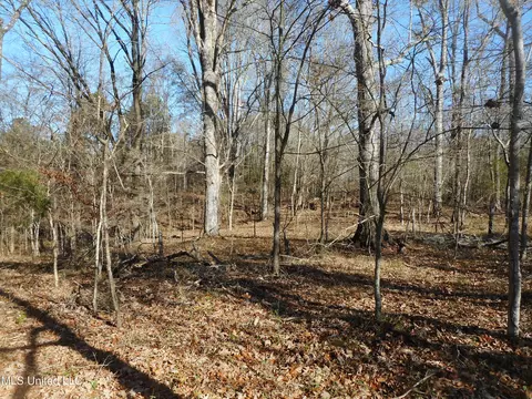 Chichester Road, Edwards, MS 39066 photo 44