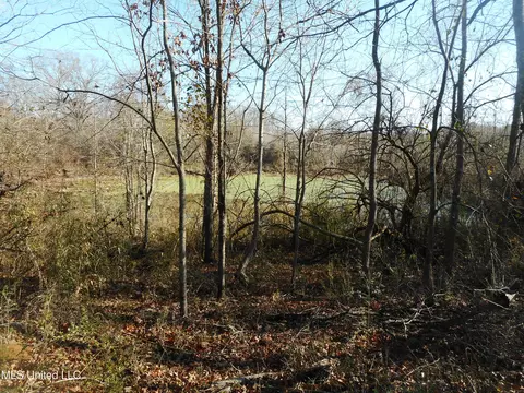Chichester Road, Edwards, MS 39066 photo 21