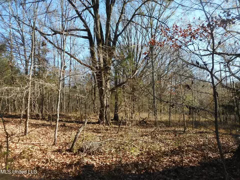 Chichester Road, Edwards, MS 39066 photo 9