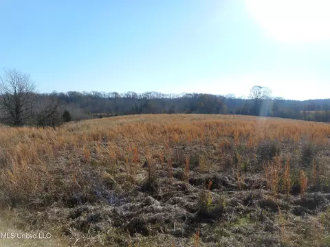 Chichester Road, Edwards, MS 39066 photo 31