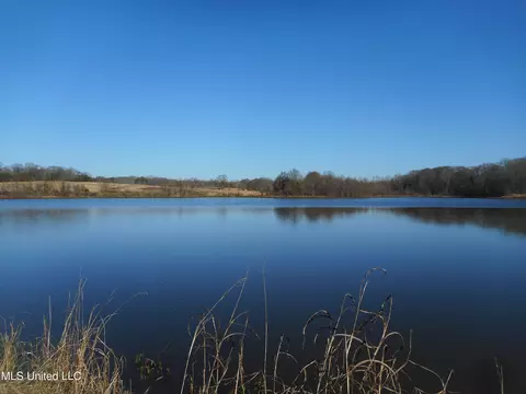 Chichester Road, Edwards, MS 39066 photo 39