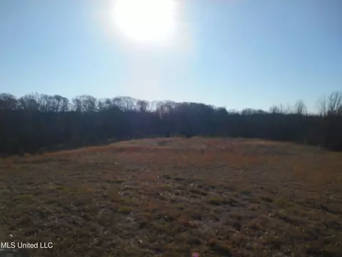 Chichester Road, Edwards, MS 39066 photo 14