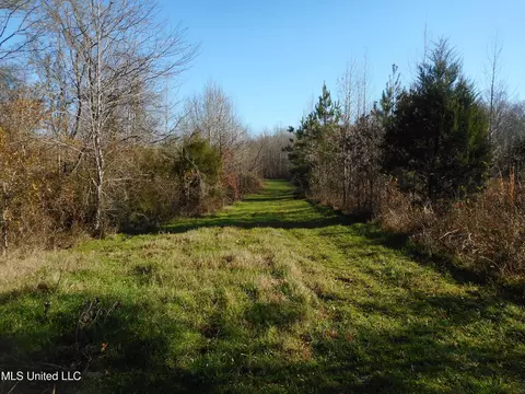 Chichester Road, Edwards, MS 39066 photo 29