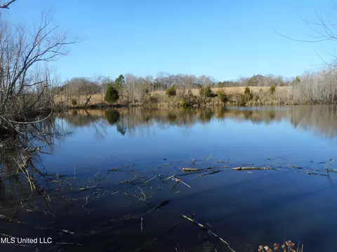 Chichester Road, Edwards, MS 39066 photo 18