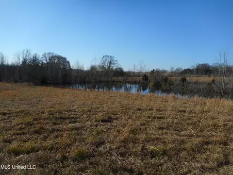 Chichester Road, Edwards, MS 39066 photo 11