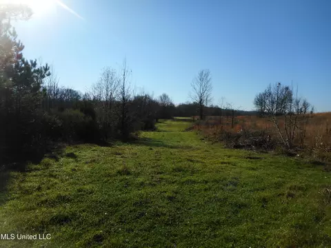 Chichester Road, Edwards, MS 39066 photo 28