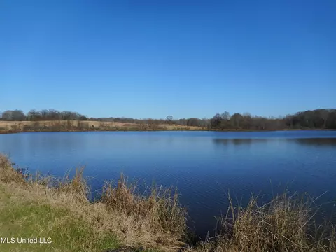 Chichester Road, Edwards, MS 39066 photo 38