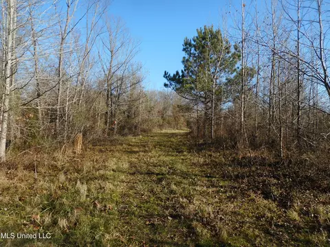 Chichester Road, Edwards, MS 39066 photo 22
