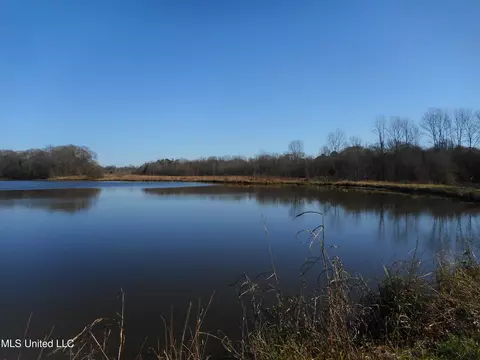 Chichester Road, Edwards, MS 39066 photo 10