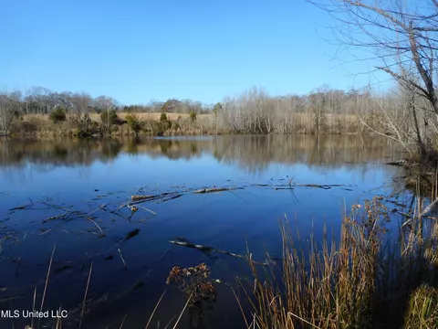 Chichester Road, Edwards, MS 39066 photo 17