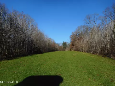 Chichester Road, Edwards, MS 39066 photo 19