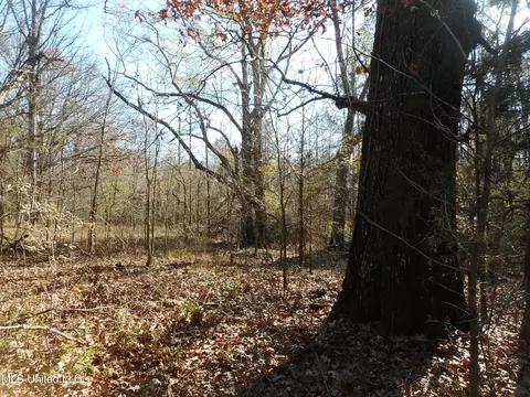 Chichester Road, Edwards, MS 39066 photo 43