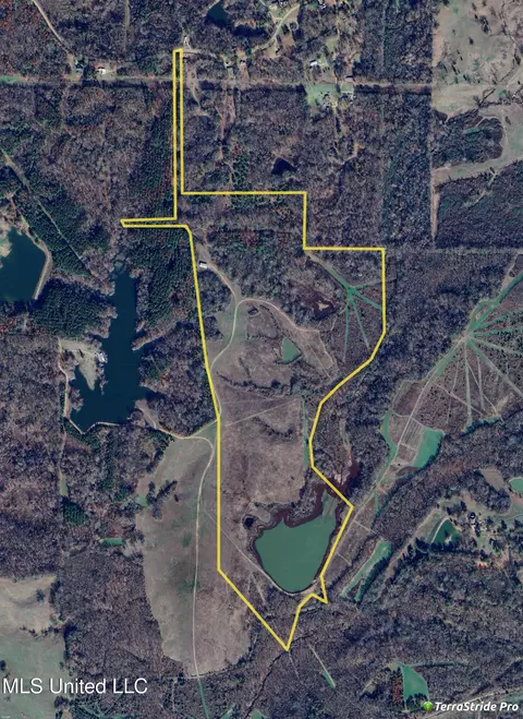 Chichester Road, Edwards, MS 39066 photo 2