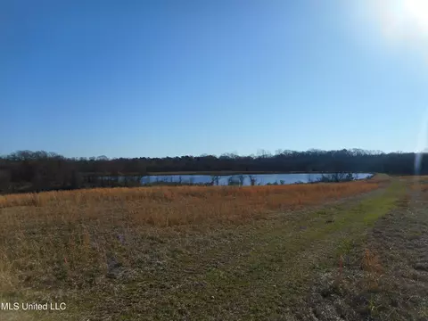Chichester Road, Edwards, MS 39066 photo 36