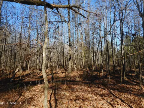 Chichester Road, Edwards, MS 39066 photo 8