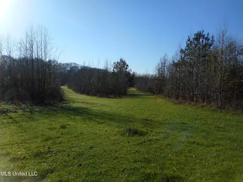 Chichester Road, Edwards, MS 39066 photo 23