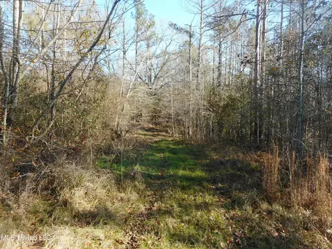 Chichester Road, Edwards, MS 39066 photo 7