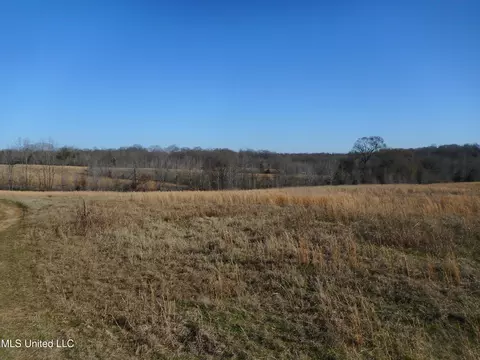 Chichester Road, Edwards, MS 39066 photo 33