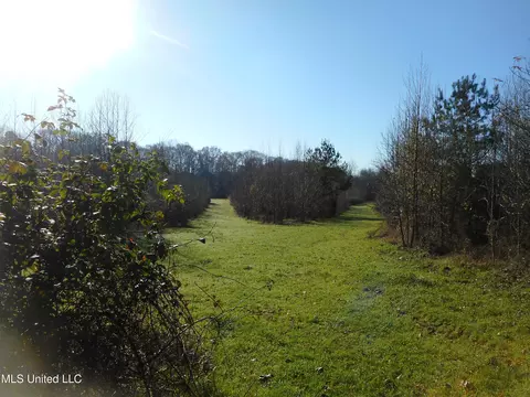 Chichester Road, Edwards, MS 39066 photo 24