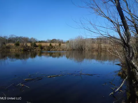 Chichester Road, Edwards, MS 39066 photo 20