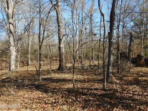 Chichester Road, Edwards, MS 39066 photo 45