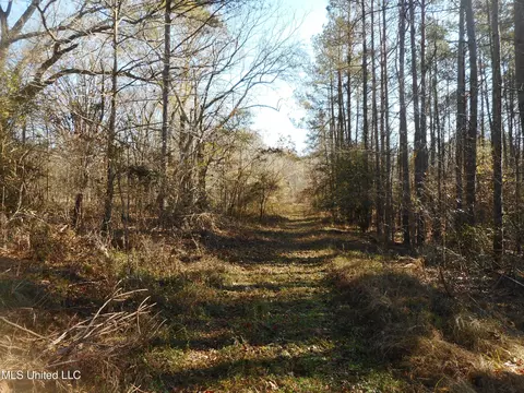 Chichester Road, Edwards, MS 39066 photo 42