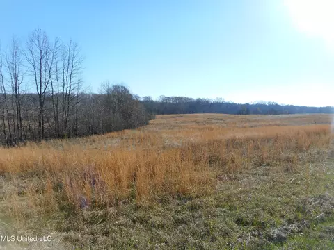 Chichester Road, Edwards, MS 39066 photo 32