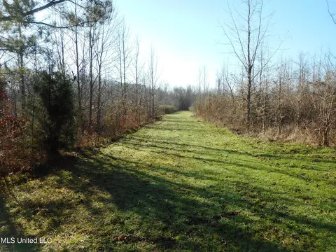 Chichester Road, Edwards, MS 39066 photo 3