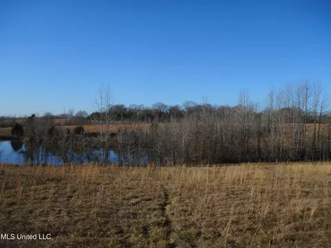 Chichester Road, Edwards, MS 39066 photo 13