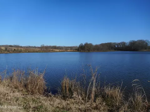 Chichester Road, Edwards, MS 39066 photo 37