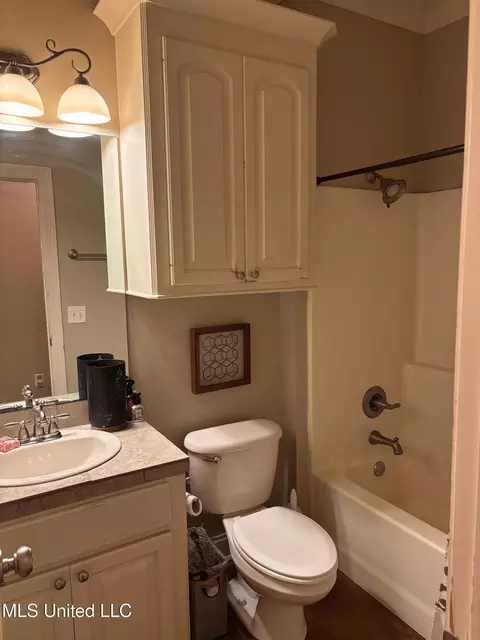 Bath - 434 Ash Tree Ln, Madison, MS 39110 photo 3 of 4