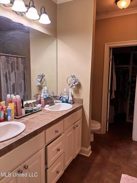 Bath - 434 Ash Tree Ln, Madison, MS 39110 photo 1 of 4