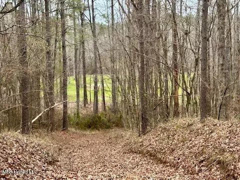 12371 Mcnair Rd NW, Roxie, MS 39661 photo 50