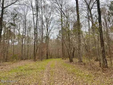 12371 Mcnair Rd NW, Roxie, MS 39661 photo 44