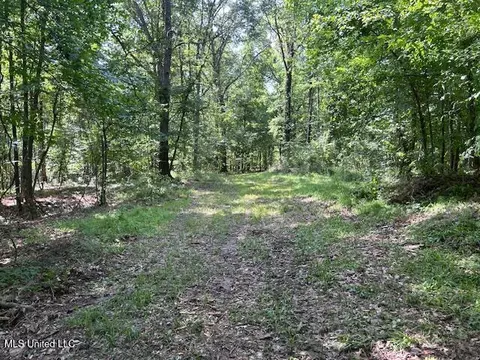 12371 Mcnair Rd NW, Roxie, MS 39661 photo 38