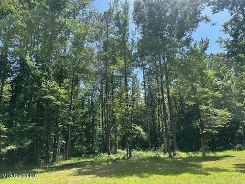 12371 Mcnair Rd NW, Roxie, MS 39661 photo 22