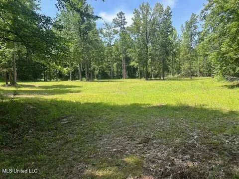 12371 Mcnair Rd NW, Roxie, MS 39661 photo 21